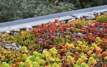 the cost of Bovevagh green roof installation